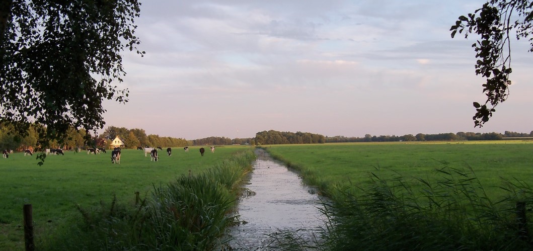 minicamping Jonkman — photo 2